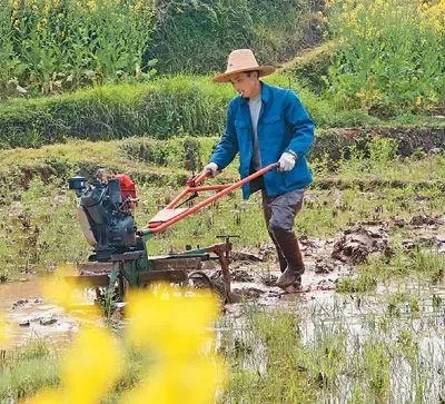 疫情防控的基本常識是什么？（疫情防控和春耕備耕兩不誤）